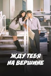 Жду тебя на вершине (2025)